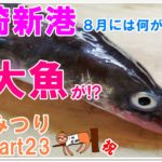 【なみつり】波崎新港で釣り!8月釣果は?まさかの巨大魚が!?